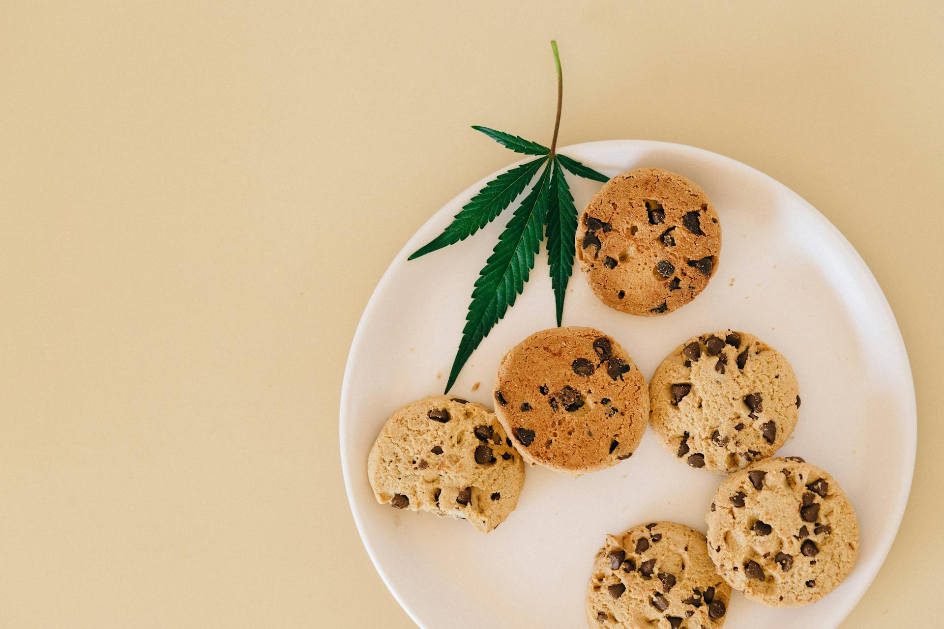 Edibles online at Canada | The High Club Canada